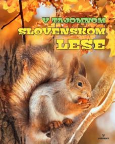 V tajomnom slovenskom lese