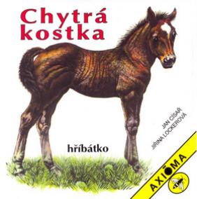 Chytrá kostka