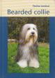 Bearded collie