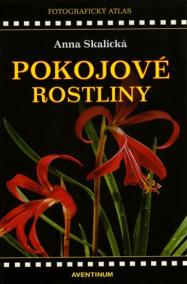 Pokojové rostliny