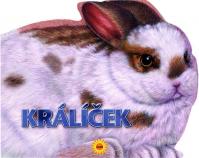 Králíček