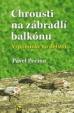 Chrousti na zábradlí balkónu - Vzpomínky na dětství