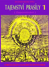 Tajemství prasíly 1 (Zapomínání) - O dračích žilách a planetární síti životní energie