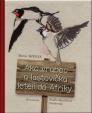 Ako vrabec a lastovička leteli do Afriky