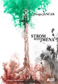 Strom beze jména