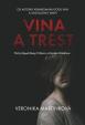 Vina a trest